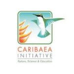Caribea Initiative