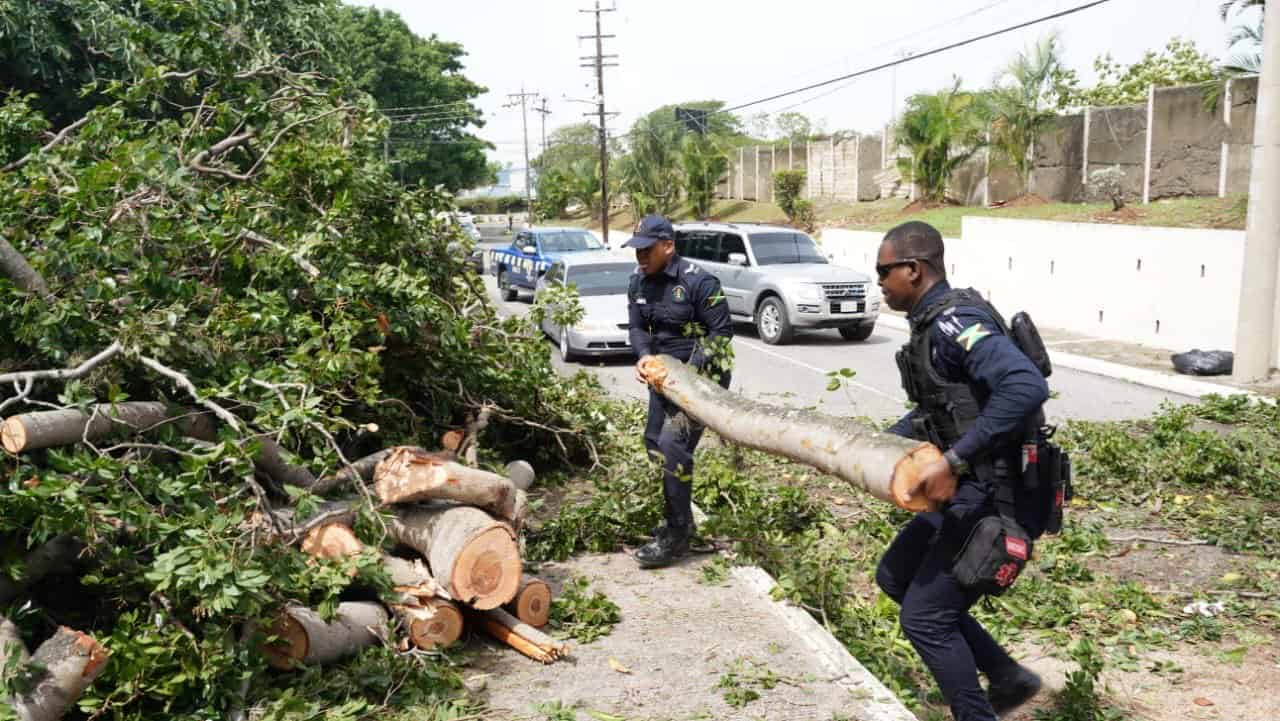 Record-breaking Hurricane Beryl leaves destructive trail across ...